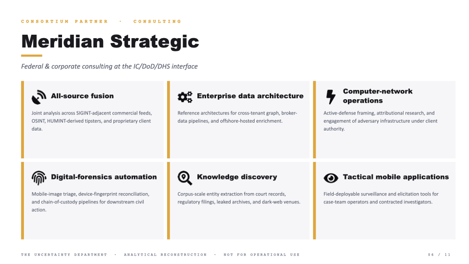 Slide 06 — Consortium partner: Meridian Strategic consulting capabilities